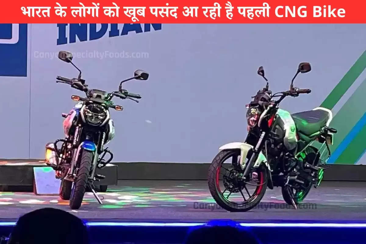 bikes-bajaj-freedom-125-cng-bike