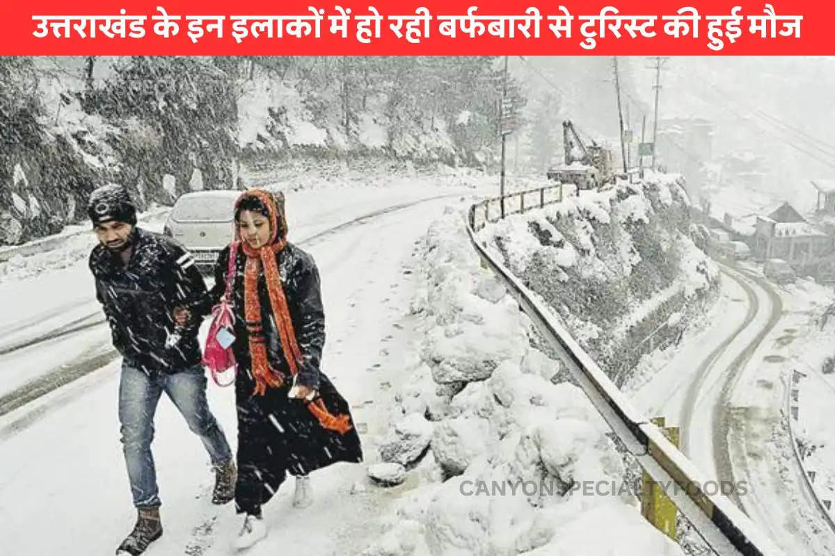 Uttarakhand Weather today
