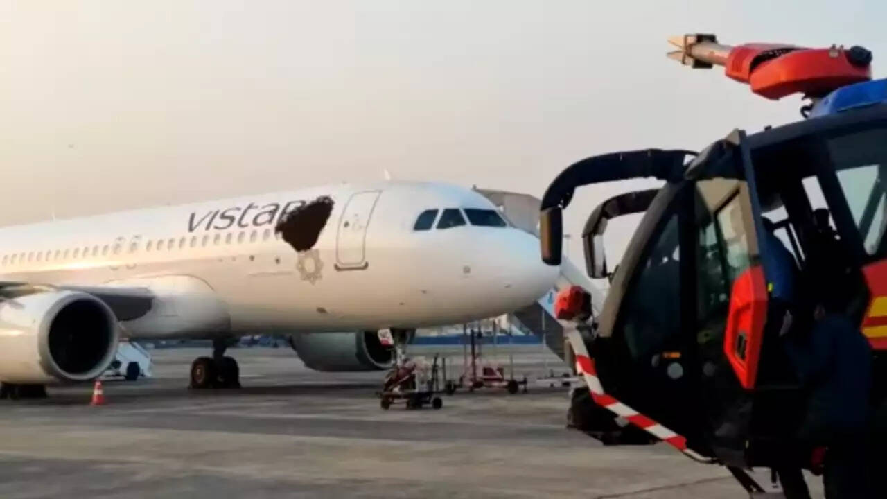 Bee Attack Two Flights 2