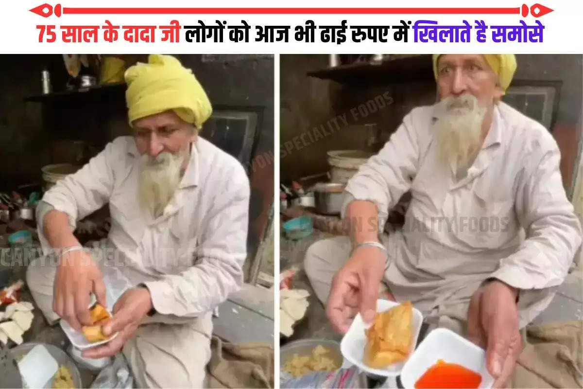 old age man amritsar vendor sells samosa