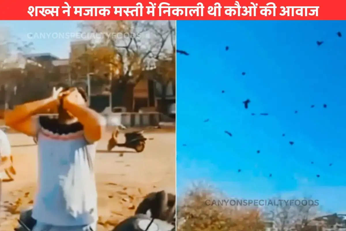 Man fills the sky with crows by making unique sound