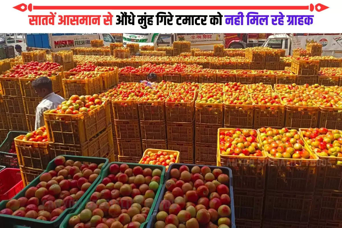 Tomato Price Reduce