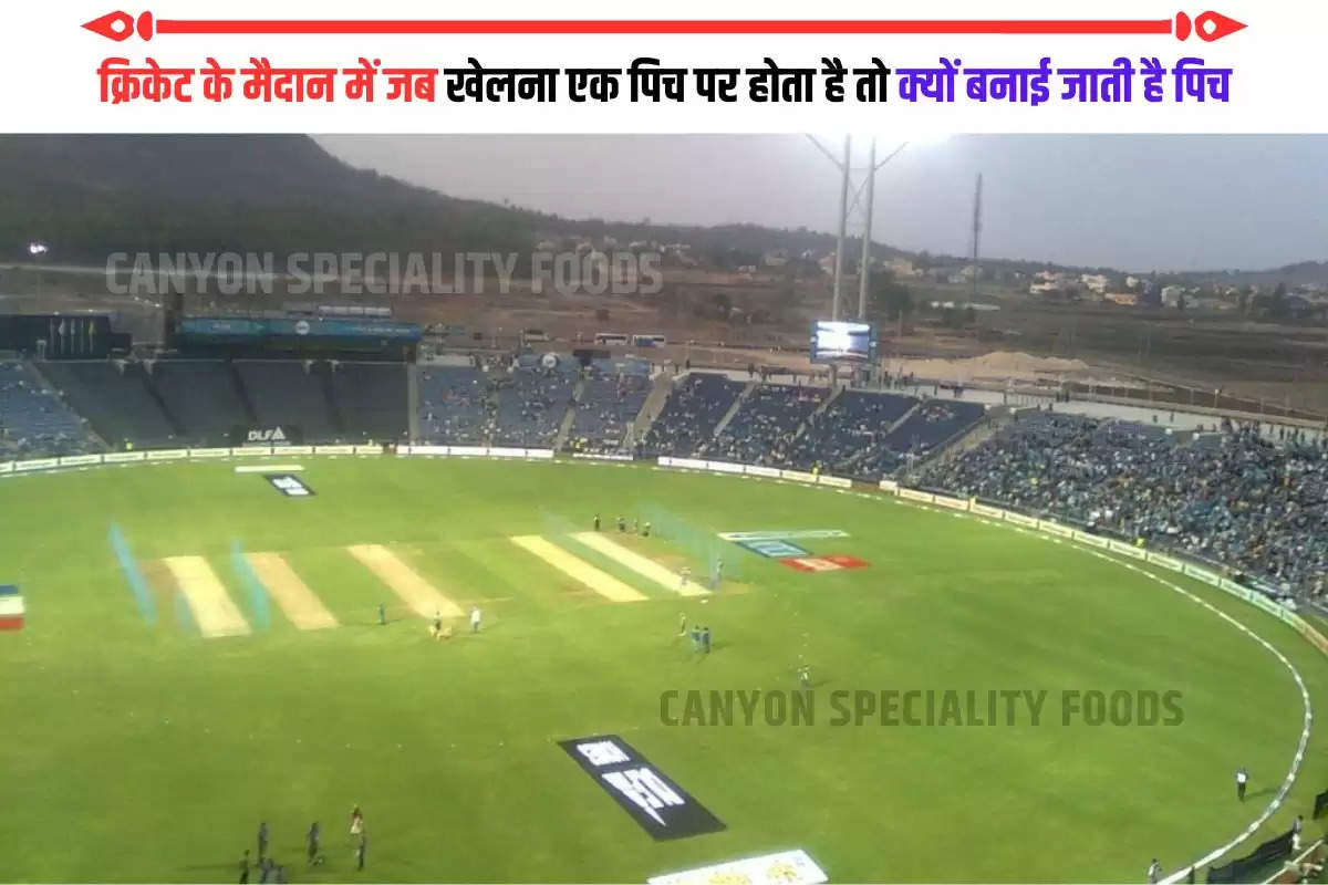 Why multiple pitches on Cricket Field