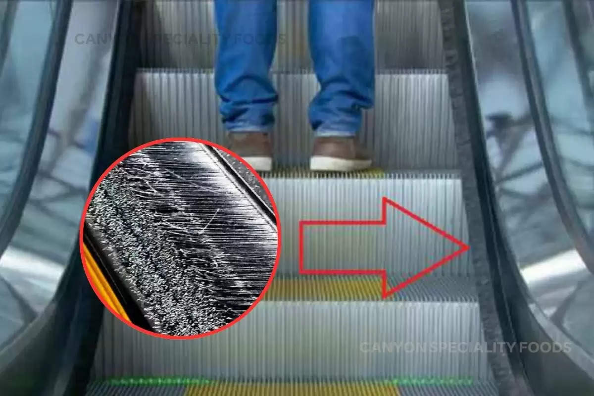 escalator brush strip purpose