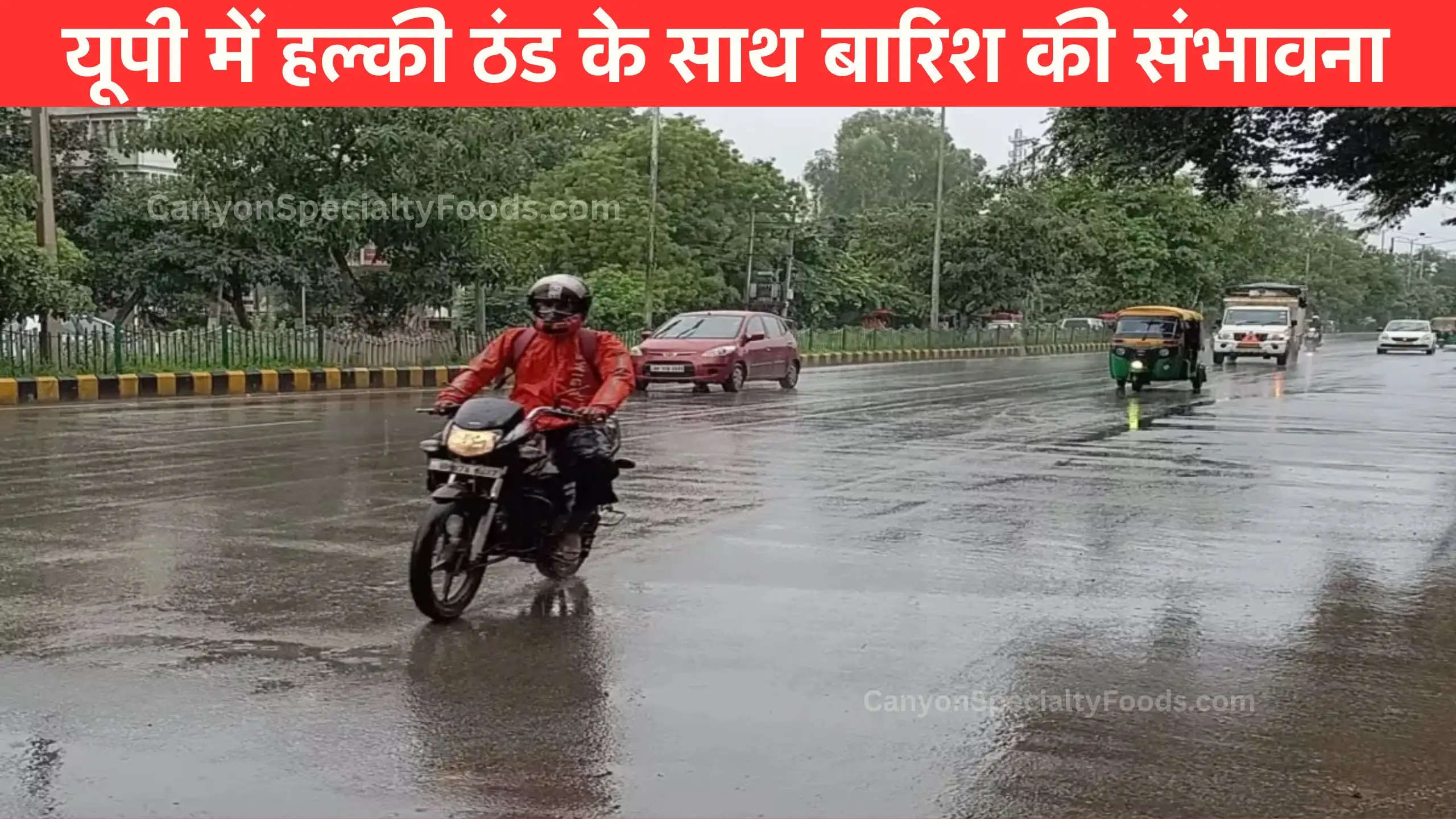 यूपी में हल्की ठंड के साथ बारिश की संभावना