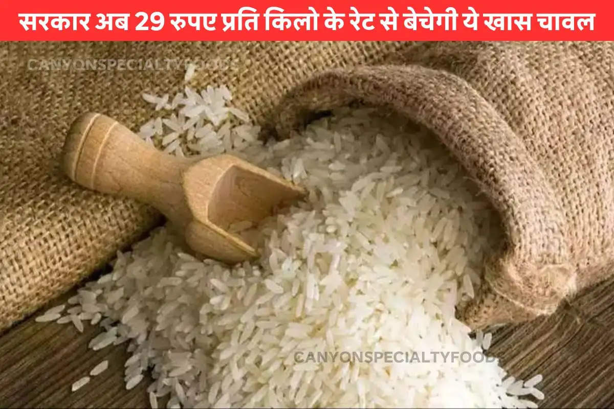 government-will-sell-bharat-rice-at-rs-29-per-kg