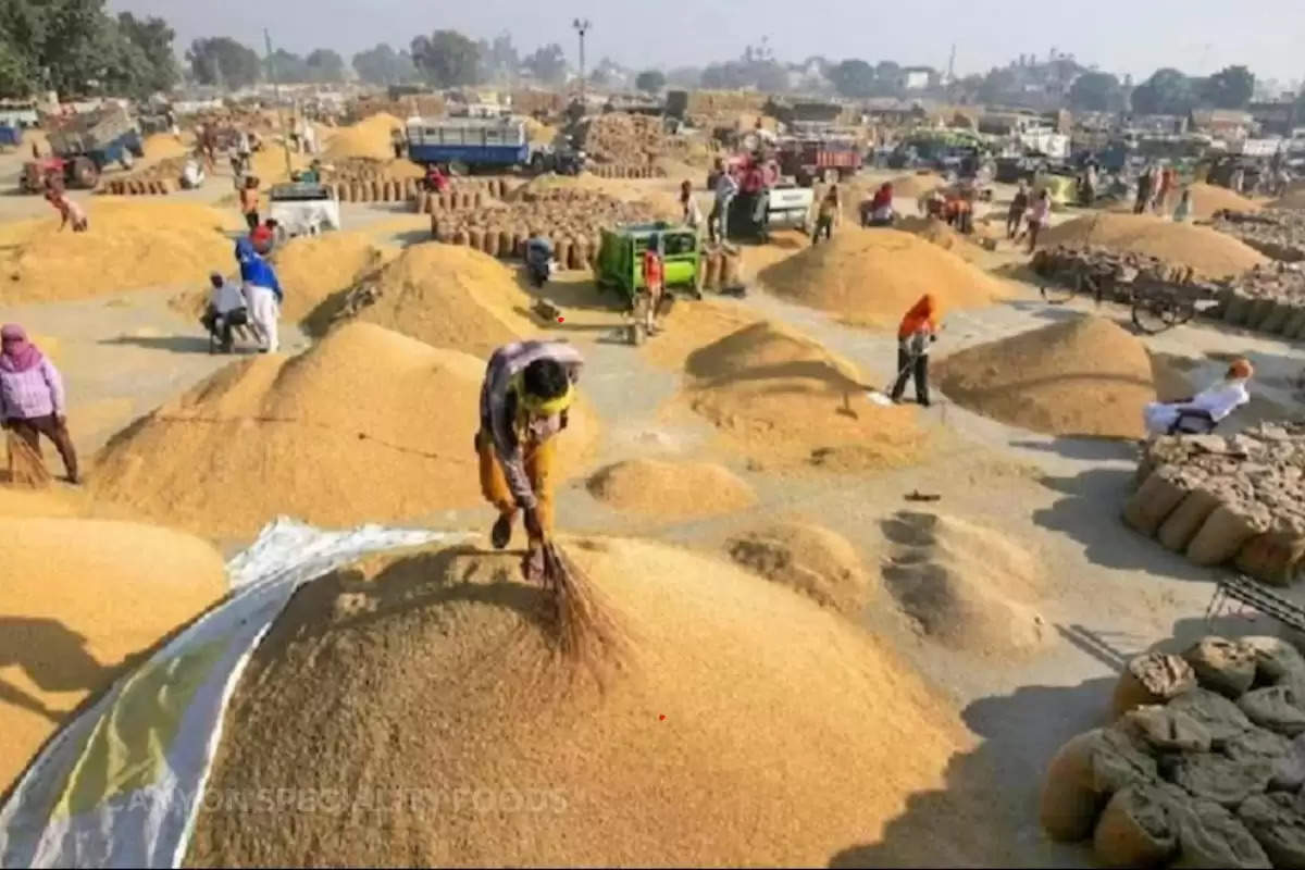 100 lakh ton wheat purchase in Punjab