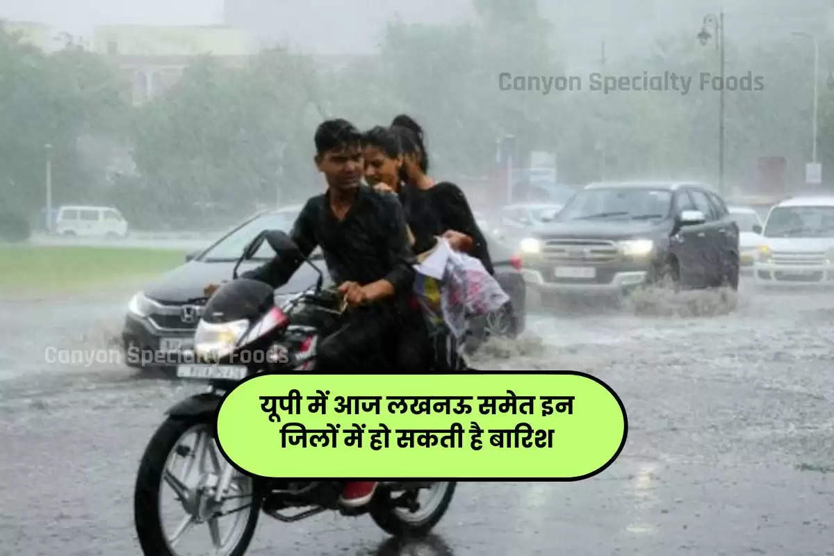 Monsoon in UP: यूपी में मानसून की दस्तक, लखनऊ सहित इन जिलों में भारी बारिश के आसार, जानिए आज कैसा रहेगा मौसम