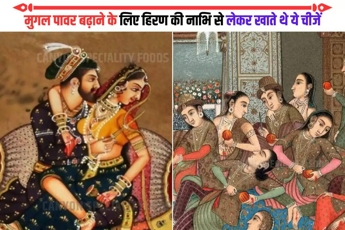 mughal empire history (1)