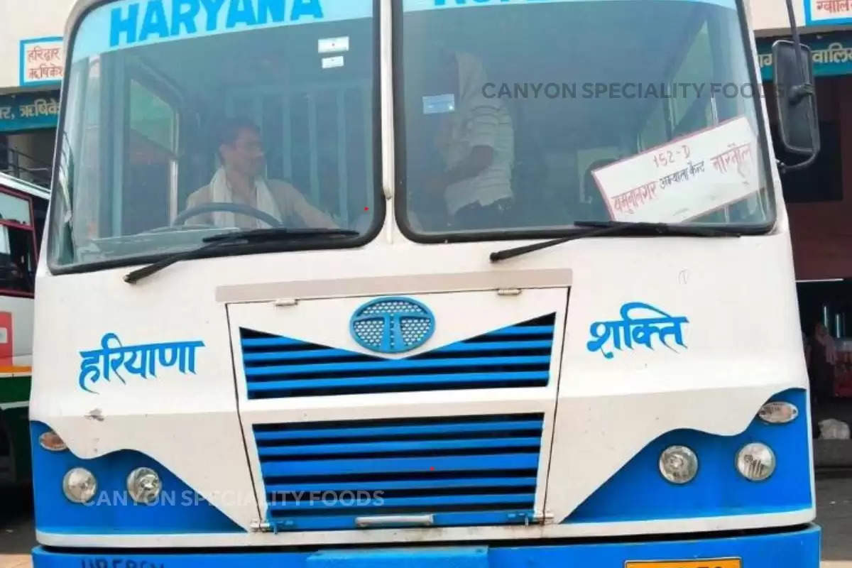 haryana roadways bus Yamunanagar to Narnaul route