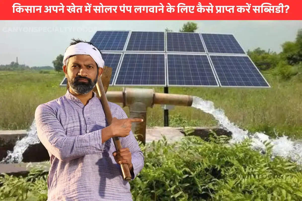 Government scheme solar pump subsidy