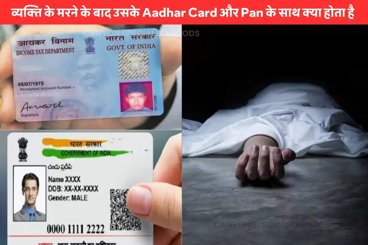 pan-card-and-aadhaar-card-after-demise