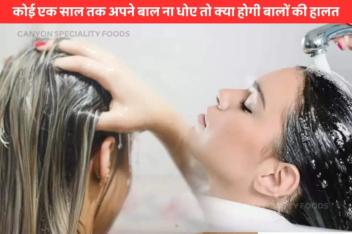 Hair Wash Fact