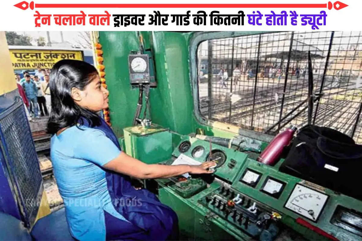 Indian Railway Driver