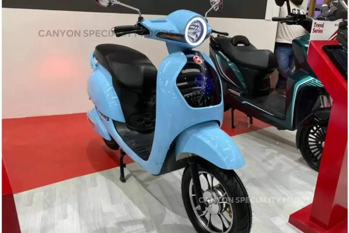 now-ride-electric-scooter-without-license