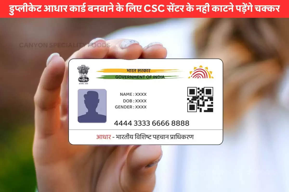 how-to-download-duplicate-aadhaar-card