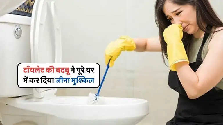 Toilet cleaning Tips