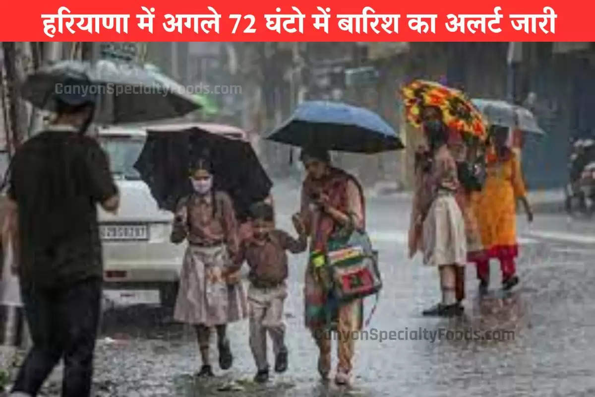 haryana-weather