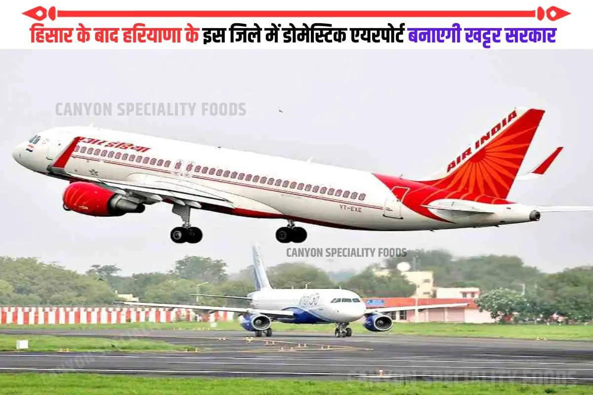 haryana soon domestic airport