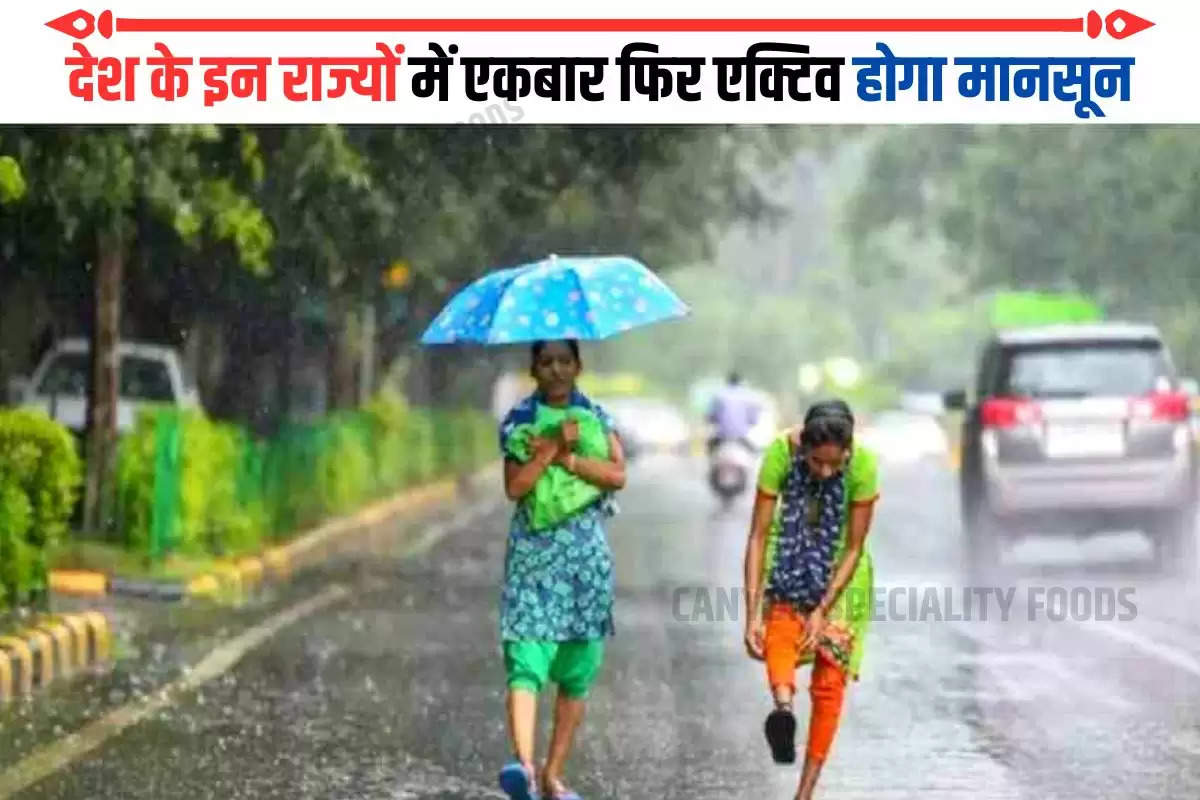 md-weather-alert-monsoon-will-now-be-active-again-in-the