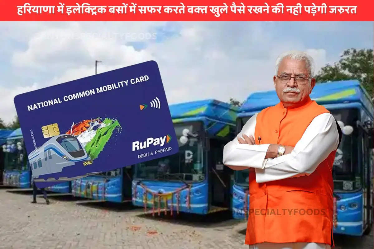 National Common Mobility Card Travel in Bus