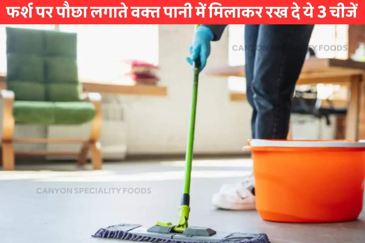 what-is-the-best-homemade-mopping-solution