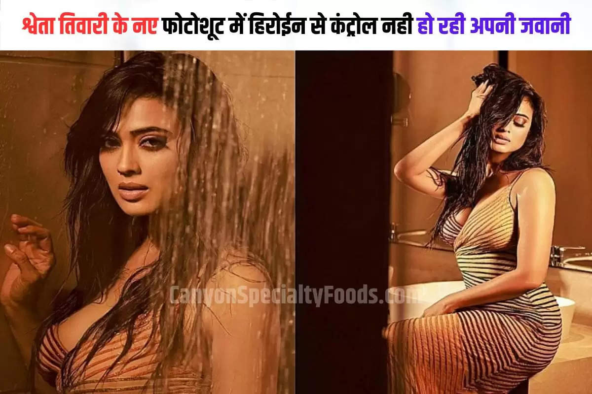 Shweta Tiwari viral photoshut 