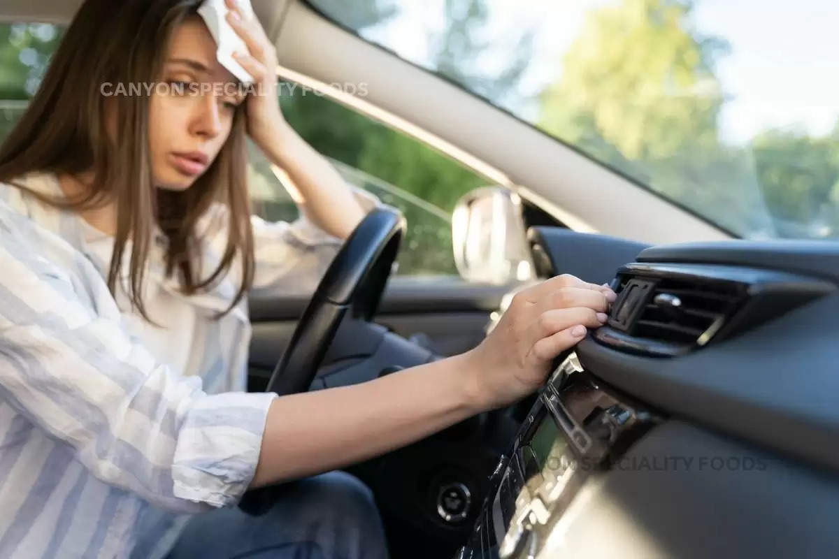 car-cooling-in-summer