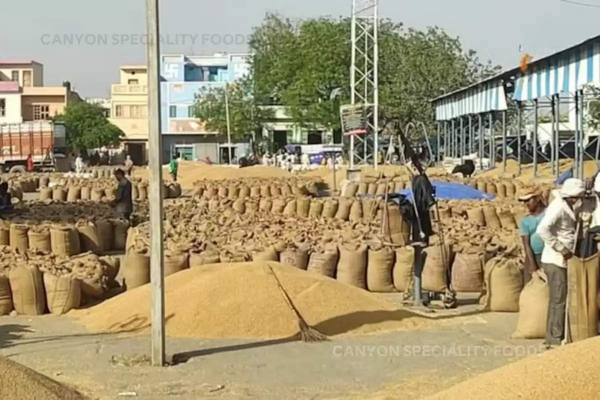 banka-wheat-crop-msp-in-bihar