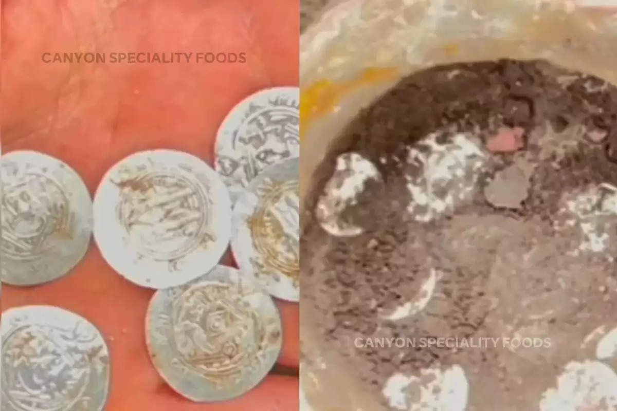 old treasure found, gada khajana, gada dhan, khet me mila gada dhan, Wealth, property, treasure, secret treasure, Weird discovery, OMG, Viral Video News, Viral News in hindi, Trending News in hindi, Viral News in hindi,