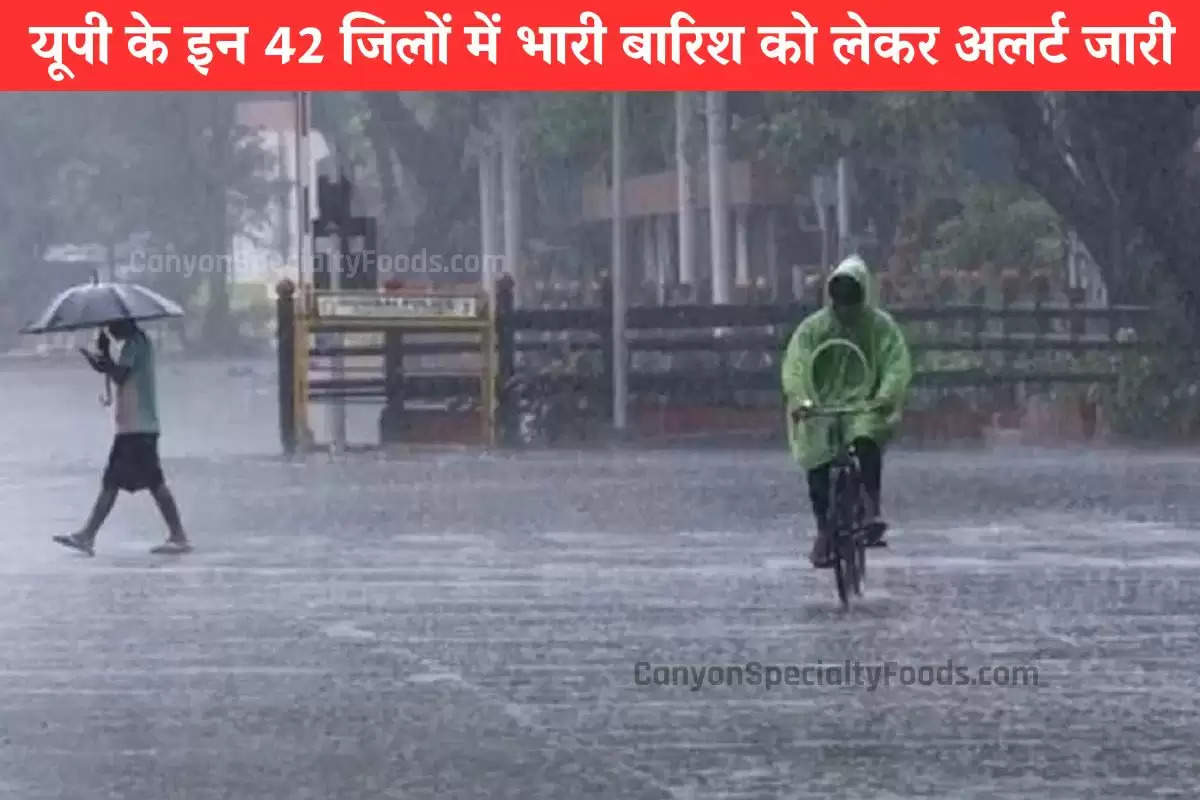 यूपी के इन 42 जिलों में भारी बारिश को लेकर अलर्ट जारी