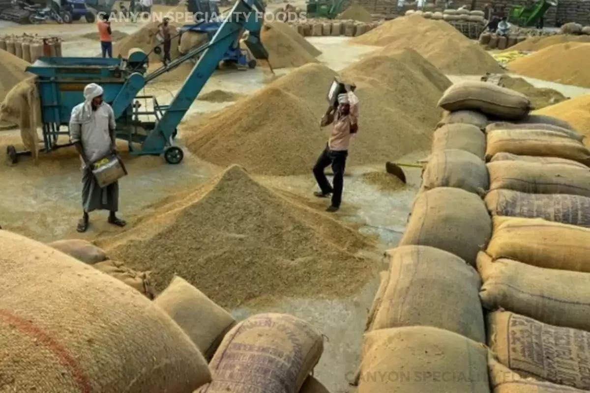 Wheat Procurement Modi government