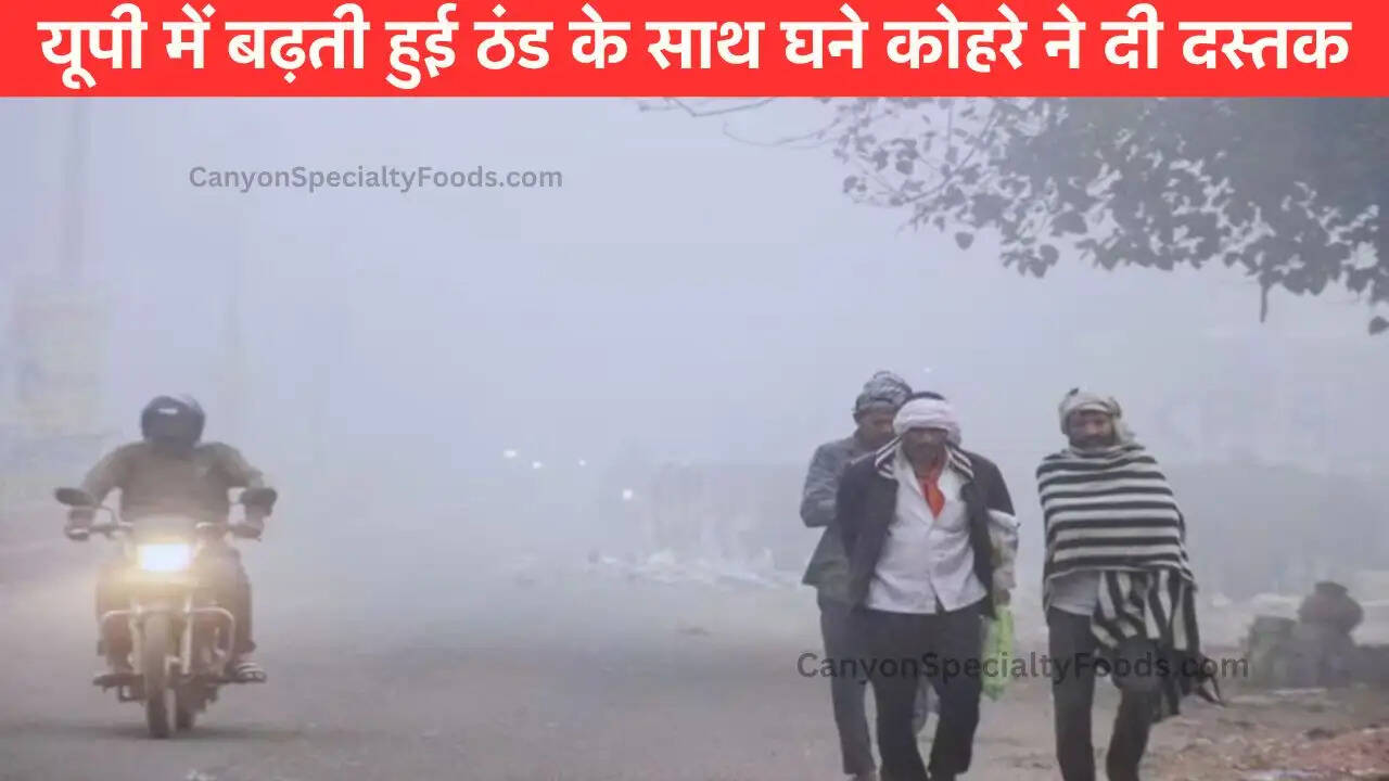 यूपी में बढ़ती हुई ठंड के साथ घने कोहरे ने दी दस्तक
