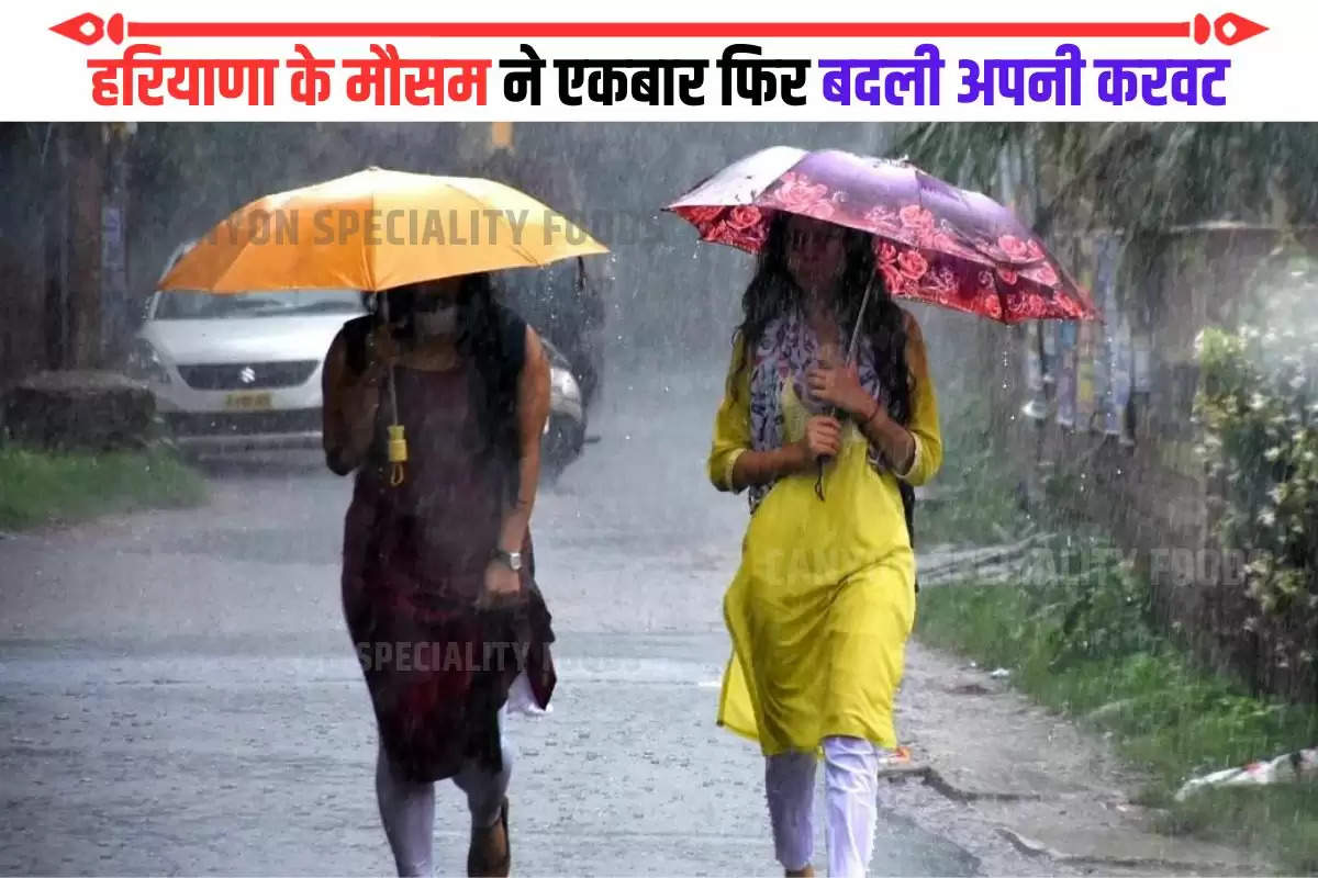 weather forecast Haryana