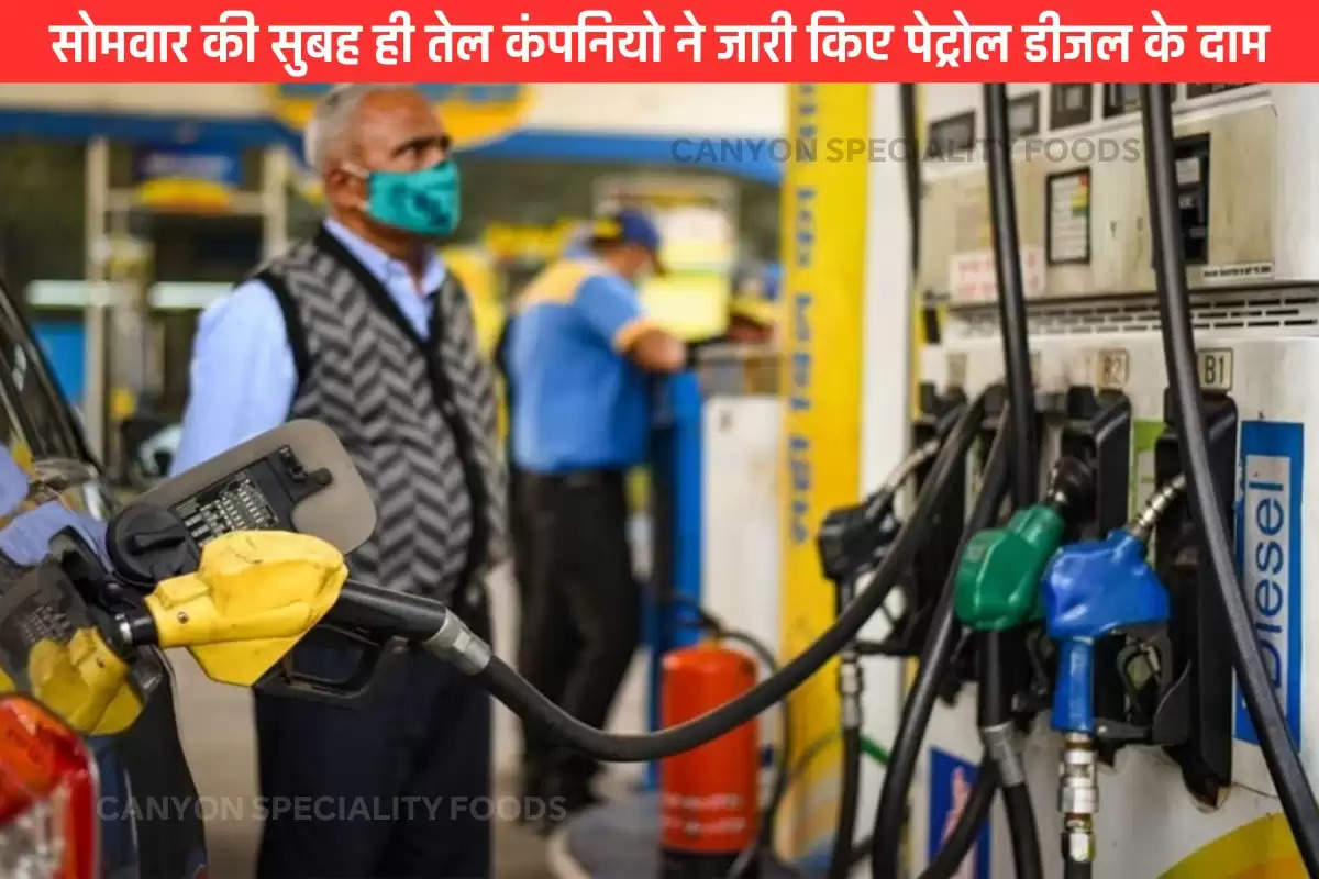 petrol-and-diesel-price-on-20-may-2024