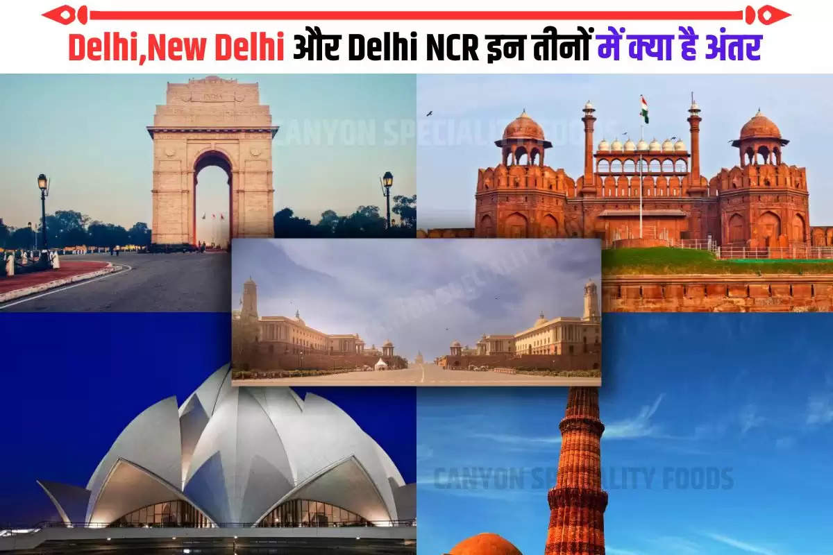 difference between delhi and new delhi