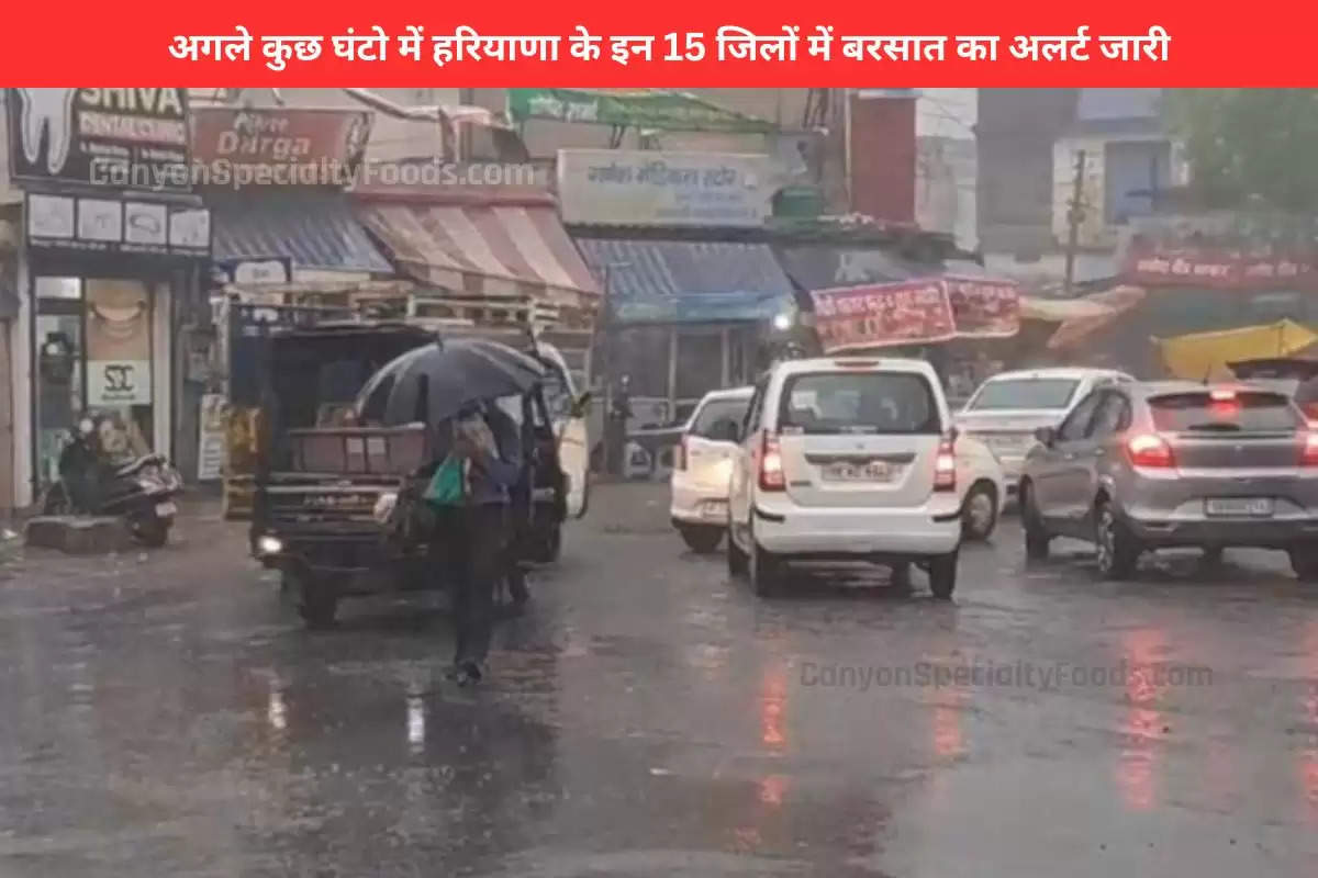 rain-likely-to-hit-15-districts-of-haryana