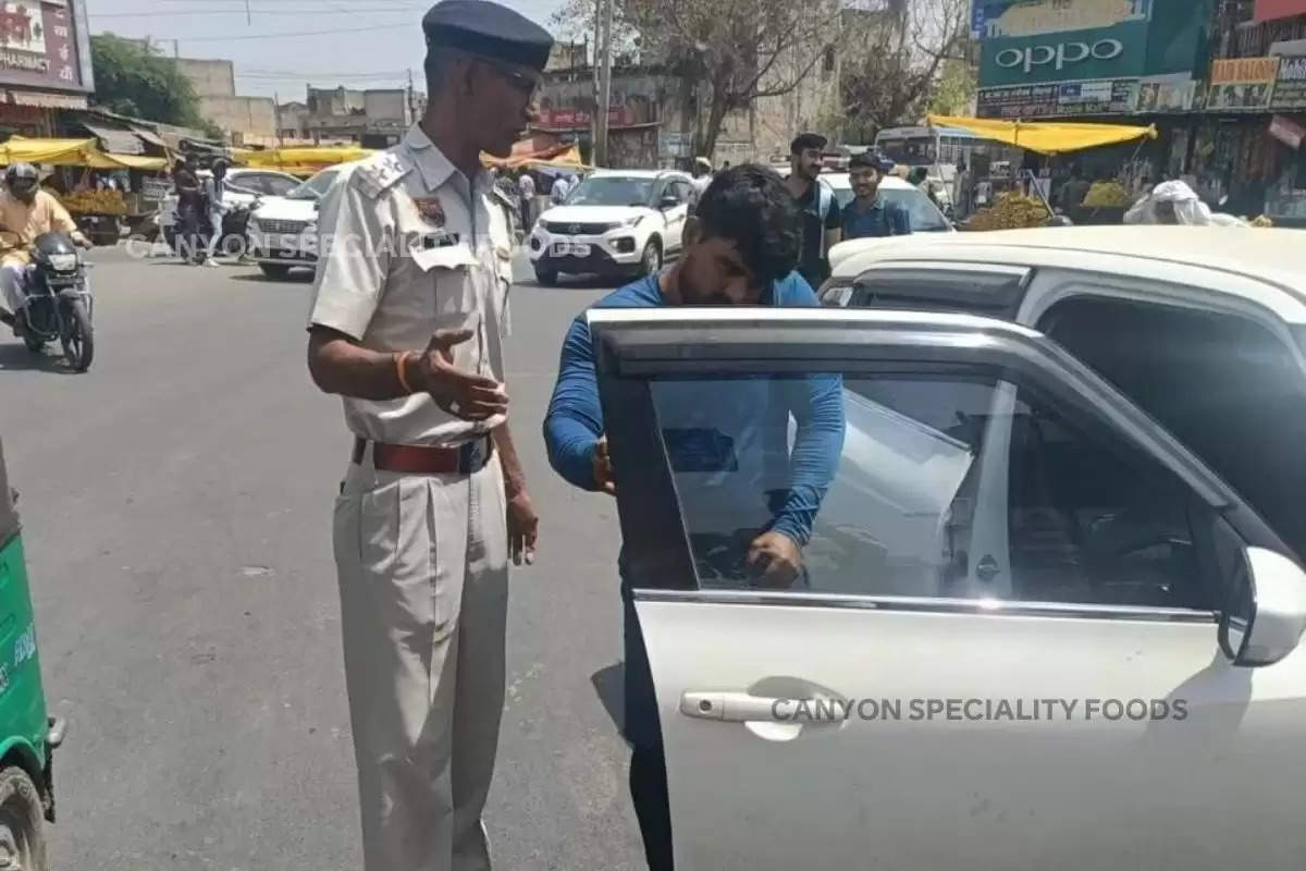 haryana-police-take-action-against-car-owners