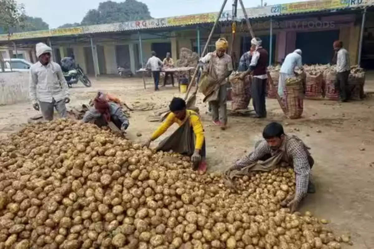 potato-prices-rising-again