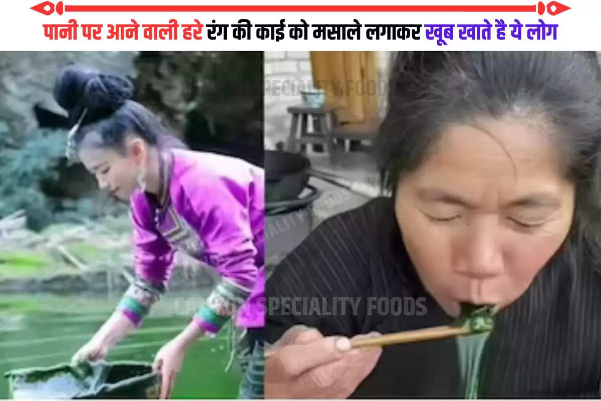 Chinese eating seaweeds