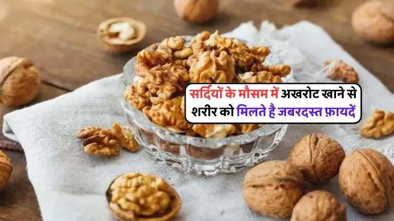 Consuming walnuts in winter is beneficial