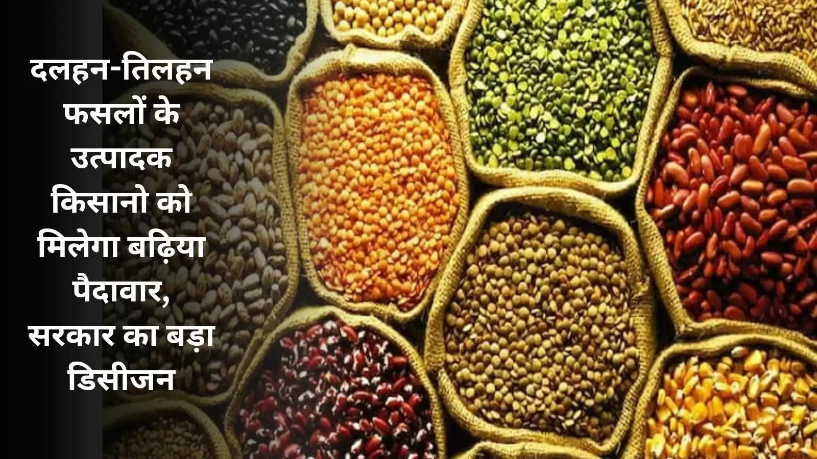 government-decided-to-distribute-pulses-and-oil-seeds