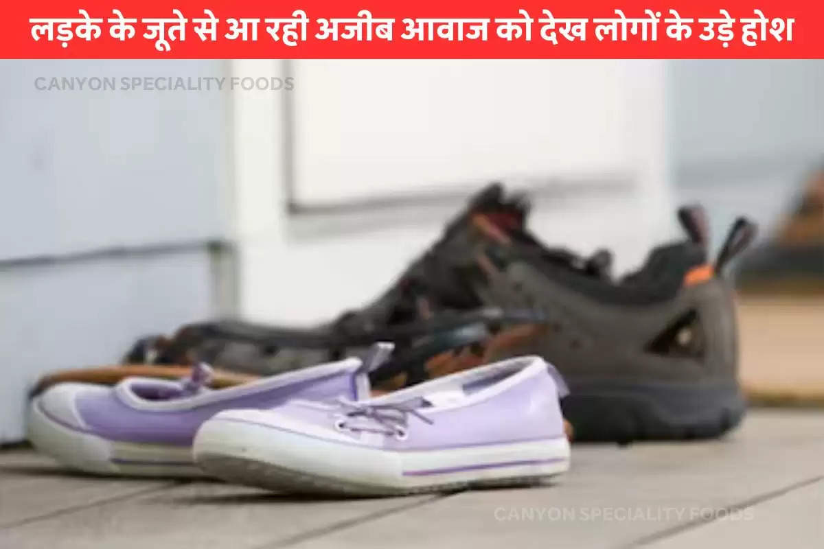 snake in shoe viral video