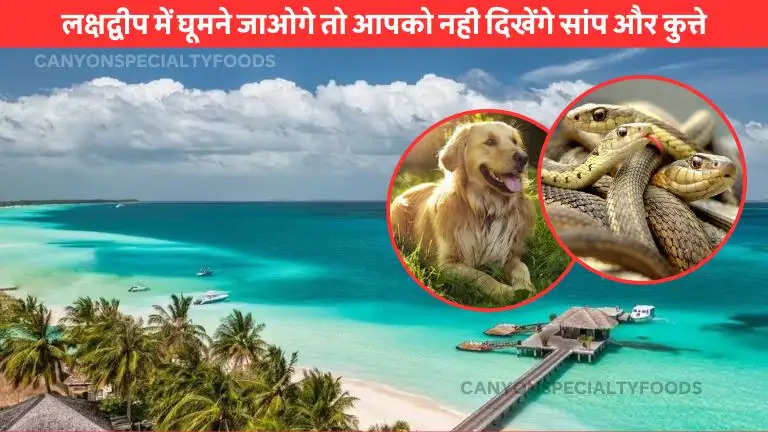 Lakshadweep Intresting Facts