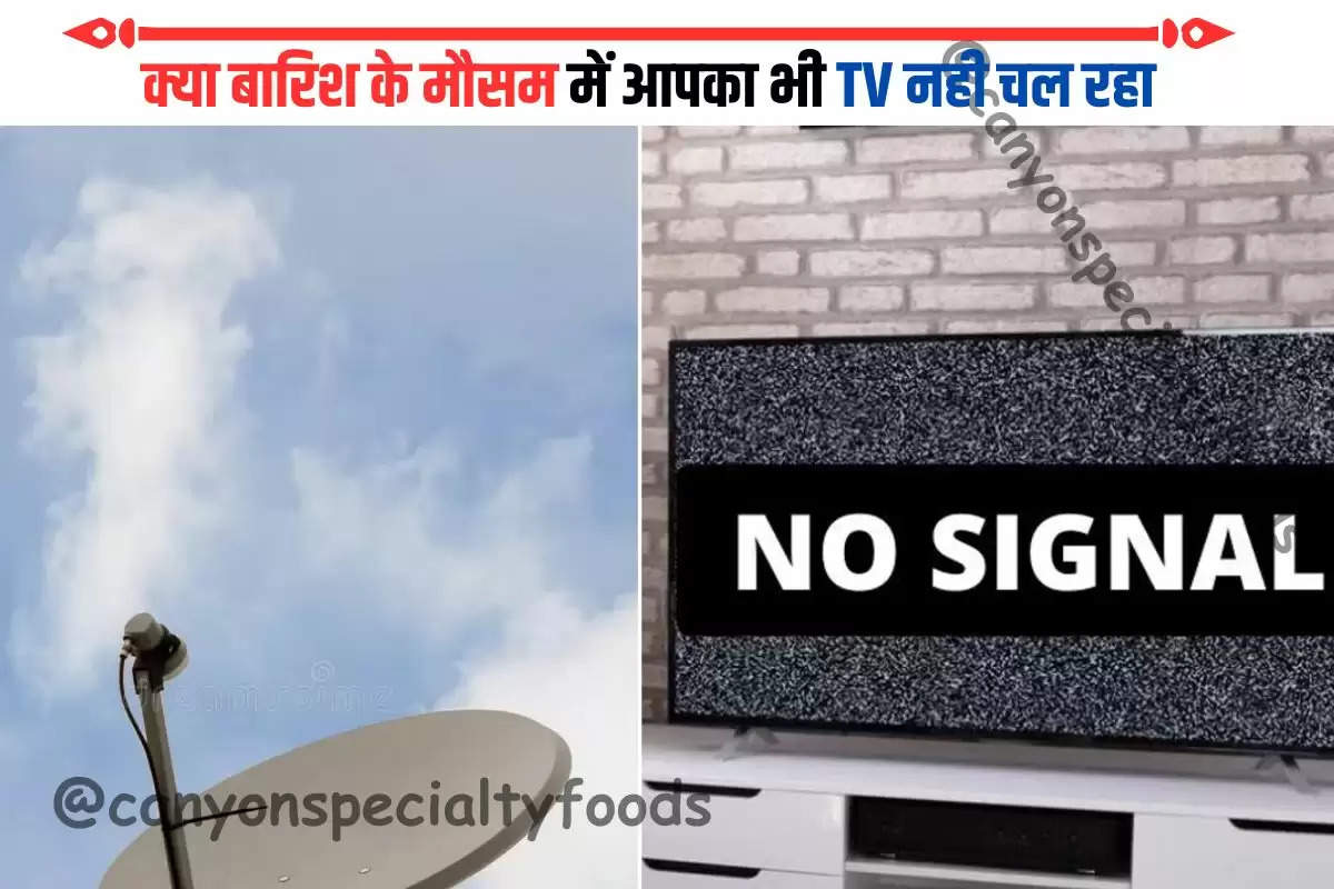 क्या बारिश के मौसम में आपका भी TV नही चल रहा