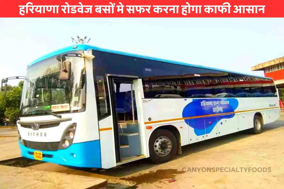 haryana-roadways-electric-and-cng-buses