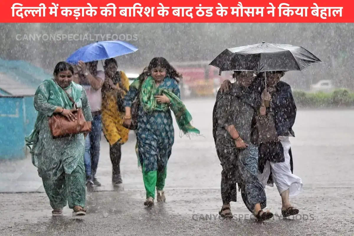 Delhi Weather Forecast (1)
