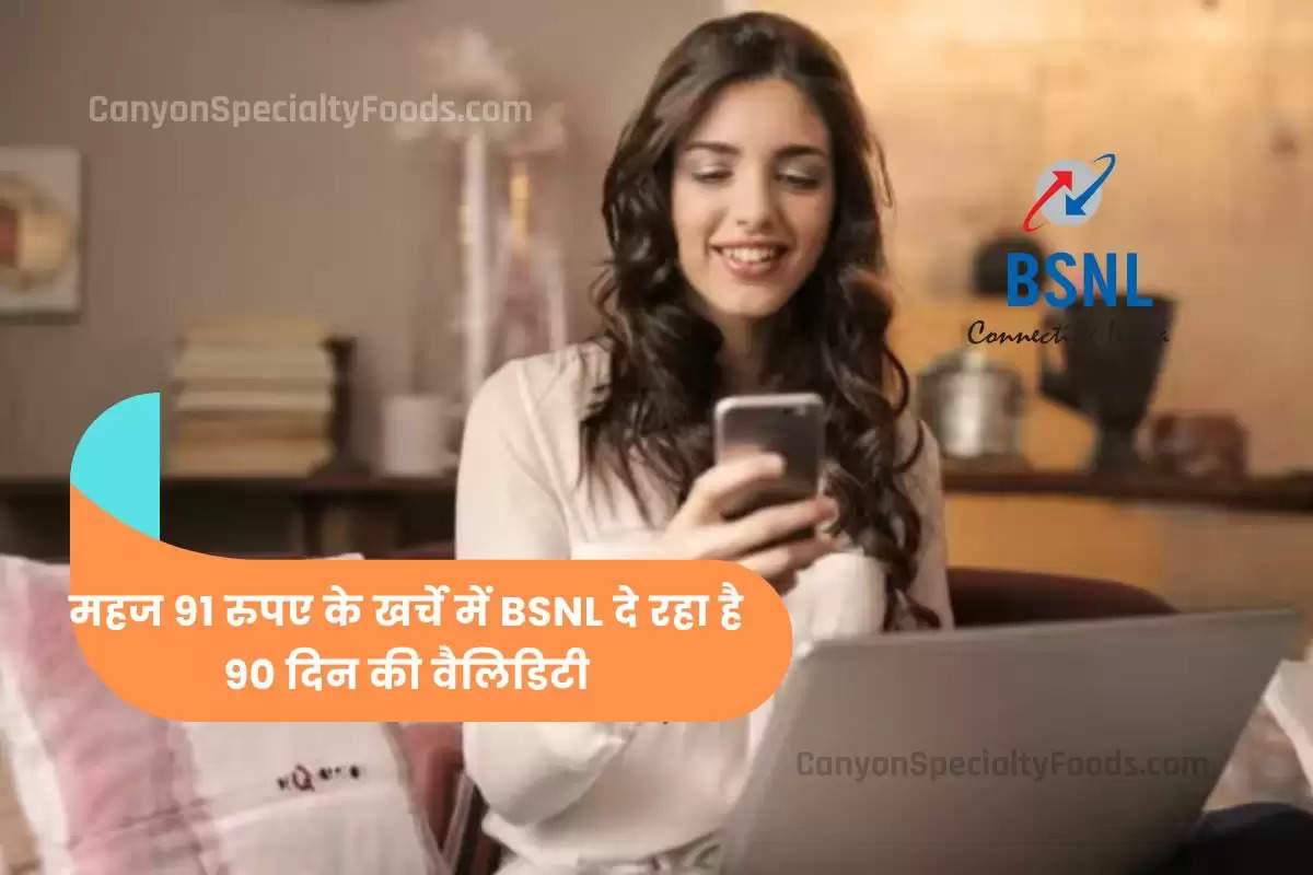 bsnl-rs-91-plan-offering