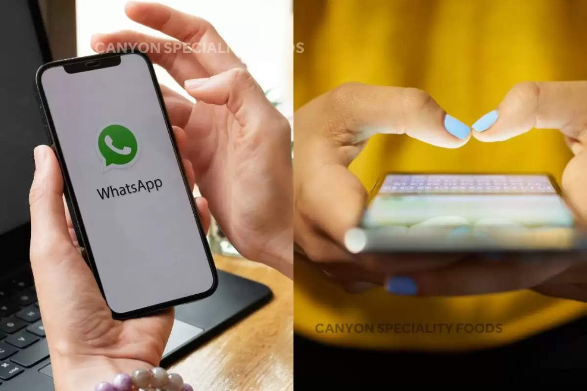 how-to-send-whatsapp-message-on-new-number