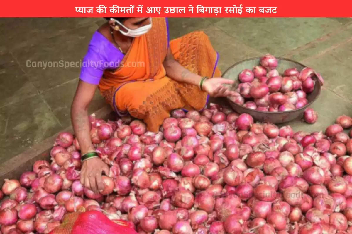 indore-vegetable-price-onion-prices